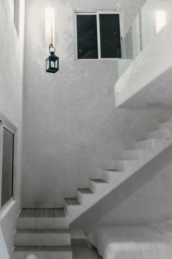 Apartment Nocturna Loft *